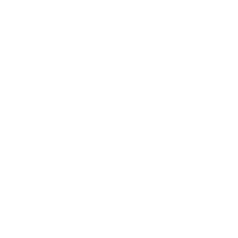 A sleek icon of a door with light streaming through, representing modern design, durability, and energy-efficient entryways. Perfect for highlighting high-quality replacement doors.