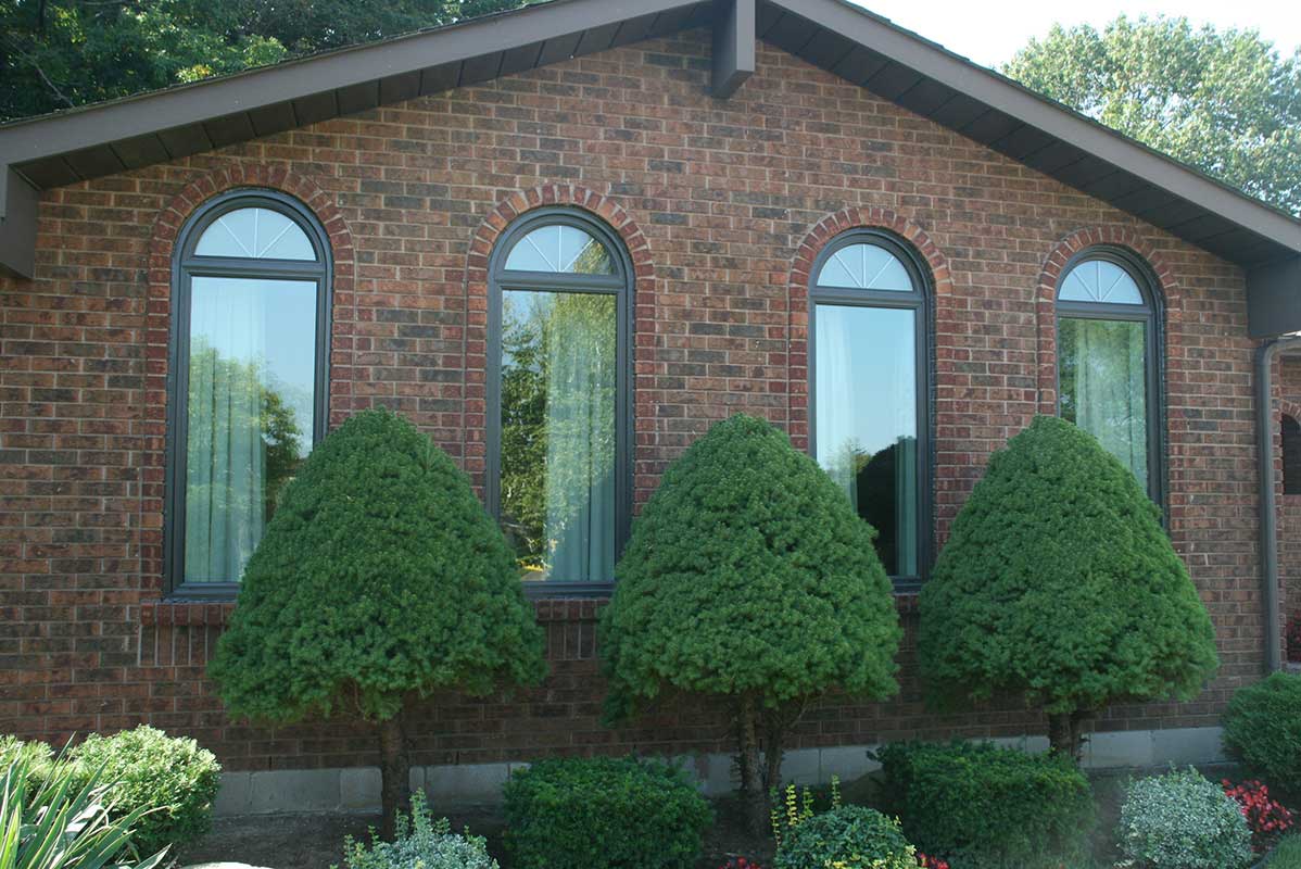 Elevated view of Replacement Shaped Window